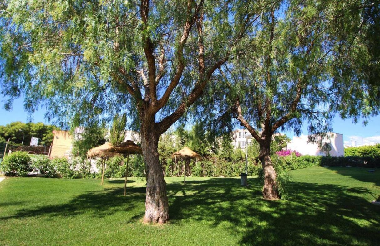 Sweetwater Home - Apartamento Ideal Para Tus Vacaciones El Campillo del Moro Exteriör bild